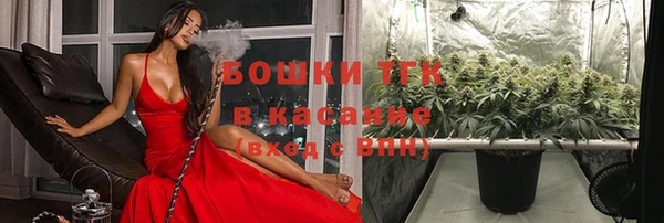 PSILOCYBIN Лиски